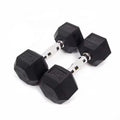 Steel Hexagonal Hexa Dumbbell Set Gym Rubber Encased Solid Weights for Body Exercise