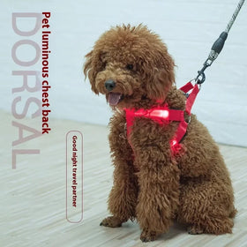 LED Light Pet Harness Outdoor Adjustable Comfortable Dog Chest Strap USB Charging Pet Supplies Wear Dog Harness