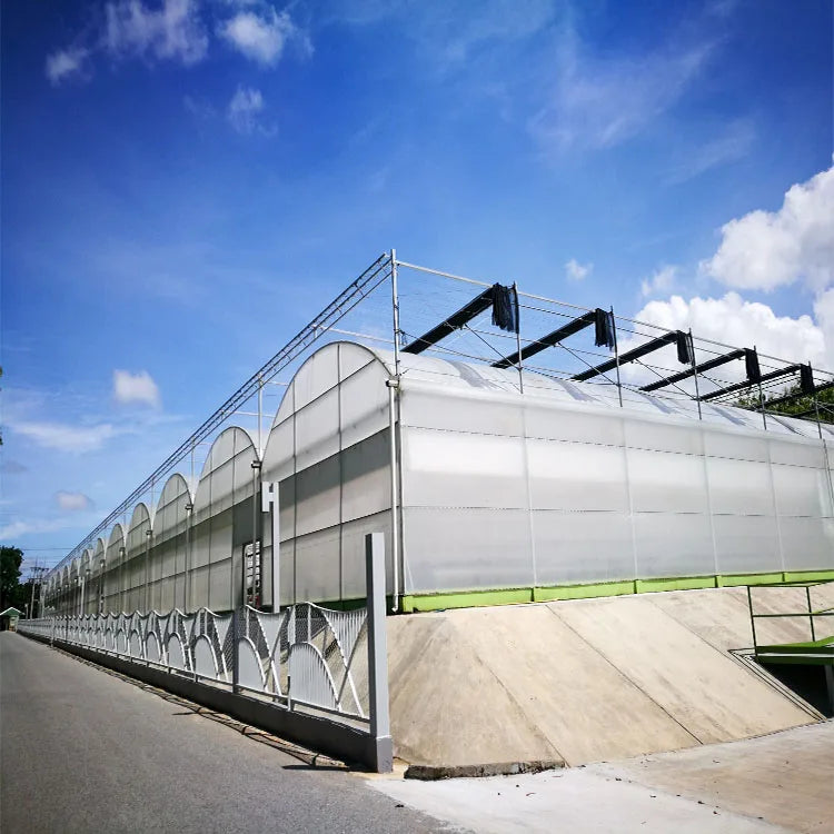 Skyplant Low-Cost Multi-Span PE Film Greenhouse-Agricultural Structure for Vegetable Gardening Durable & Factory Direct Supply