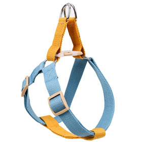 Custom Large Pet Dog Harness Set Multi-Color Adjustable Luxury Fashion Polyester Personalized Buckles for Small Medium Walking