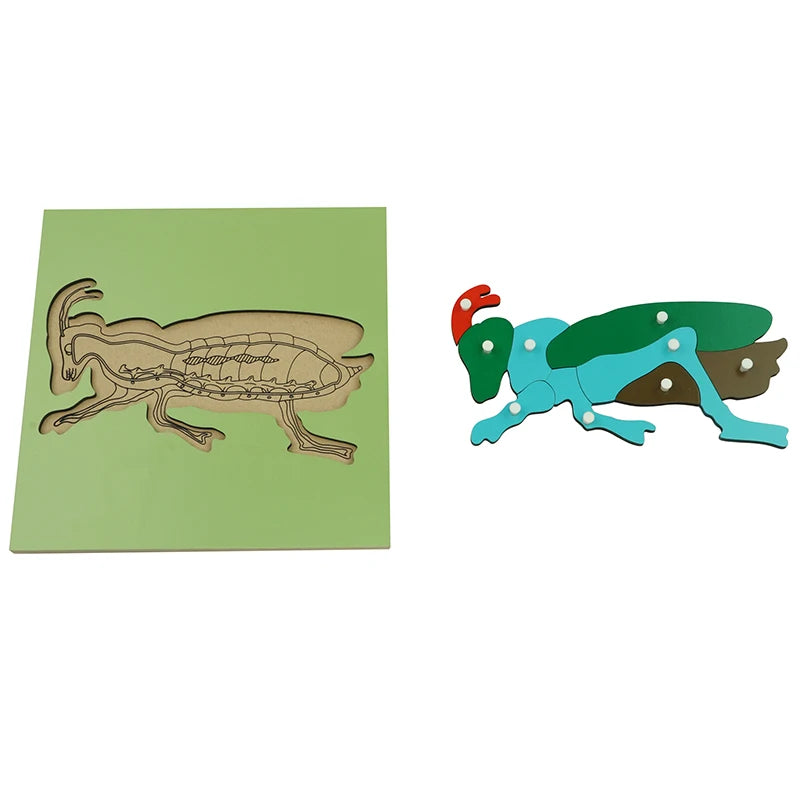 Montessori Material Wooden Educational Toys of Ant Puzzle