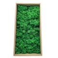 Yunnan Factory Natural Wall Decore Real Preserved Fresh Dried Moss Stabilized Preserved Reindeer Moss for Moss Wall Art