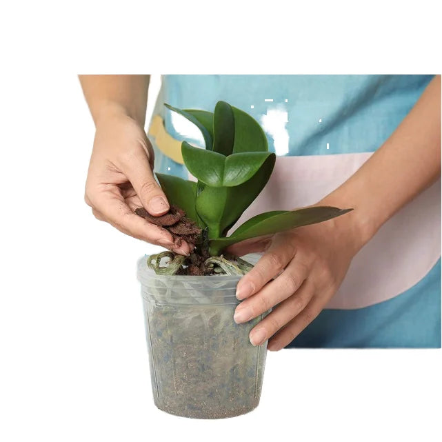 Clear Nursery Pots for Indoor and Outdoor Garden Use