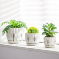 2023 New Product 10 and 12 Inch Flowerpot Planter Pots for Plants and Flowers for Home and Garden New in Shopping Malls