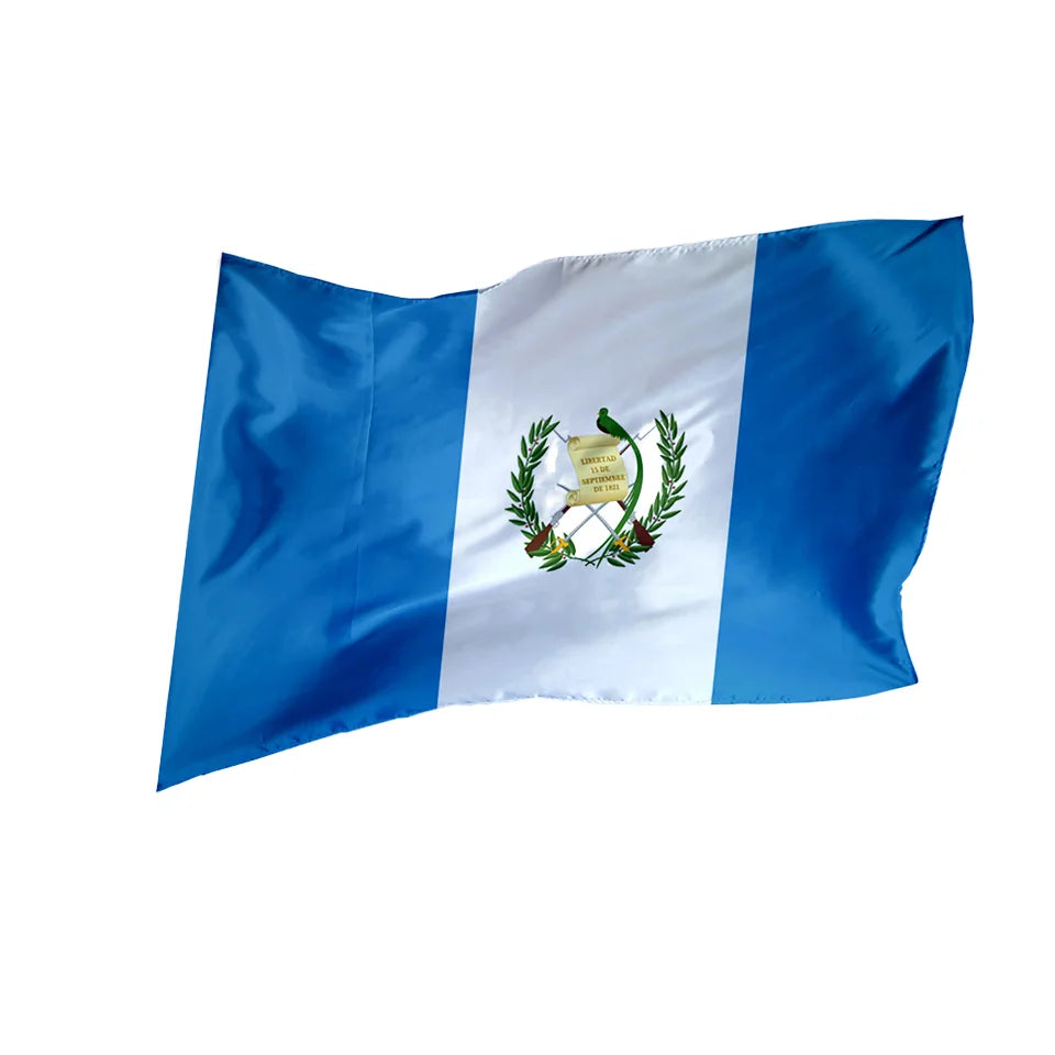 Custom Logo 48h Fast Delivery Promotional 3x5 Ft 100% Polyester Guatemala Flag with Brass Grommets