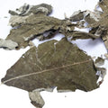 Gan Feng Chai Raw Dried Natural Leaf and Twig of Nakedflower Beautyberry Callicarpa Nudiflora Herb for Sale