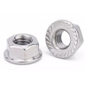 M6 M8 M10 Stainless Steel SS 18-8 304 316 316L Plain Passivation Hexagon Hex Serrated Flange Nut DIN6921