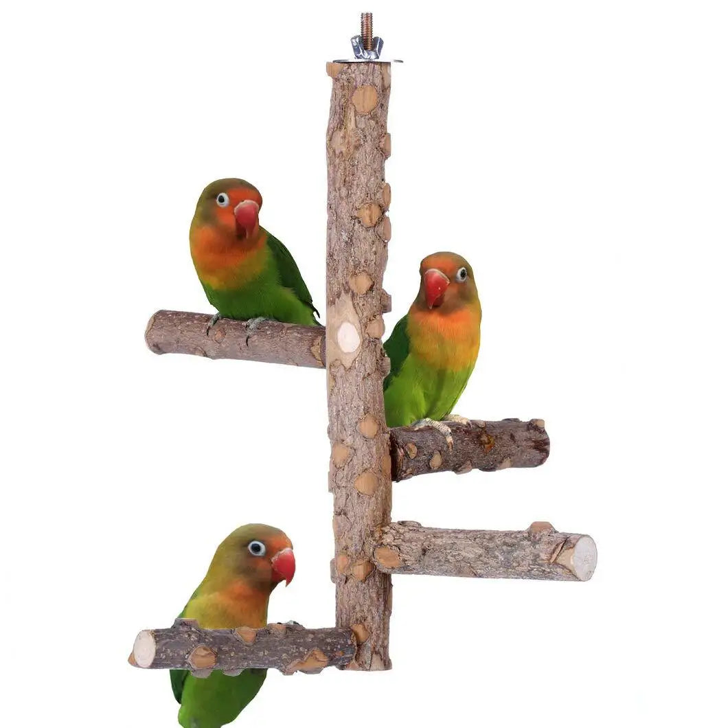 Parrot Natural Wood Perch - Bird Perch Stick Parrot Tree Branch Fruitwood Tree Fork Parrot Chew Toy