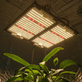 KingBrite 240W Samsung LM301H Mix XP-E2/XP-G3 660nm Red Board Double Heatsink LED Grow Light for Indoor Plants Cover 2*2ft Tent