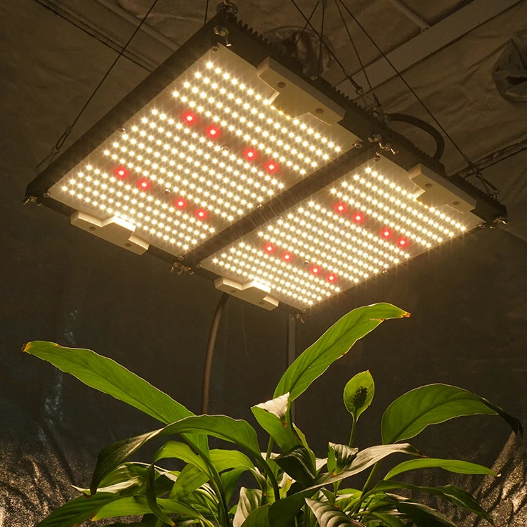 KingBrite 240W Samsung LM301H Mix XP-E2/XP-G3 660nm Red Board Double Heatsink LED Grow Light for Indoor Plants Cover 2*2ft Tent