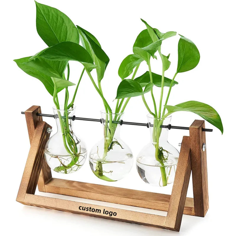 Home Office Decor Bud Mini air Separation Plant Terrarium Propagation Station Hydroponic Flower Bulb Glass Vase Wooden Stand
