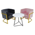 Luxury Stainless Steel Base Arm Side Single Sofa Dining Chair MegaBDM