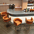 Nordic Modern Bar Furniture Simple Luxury Home Foreground Backrest High Stool Metal High Bar Chair