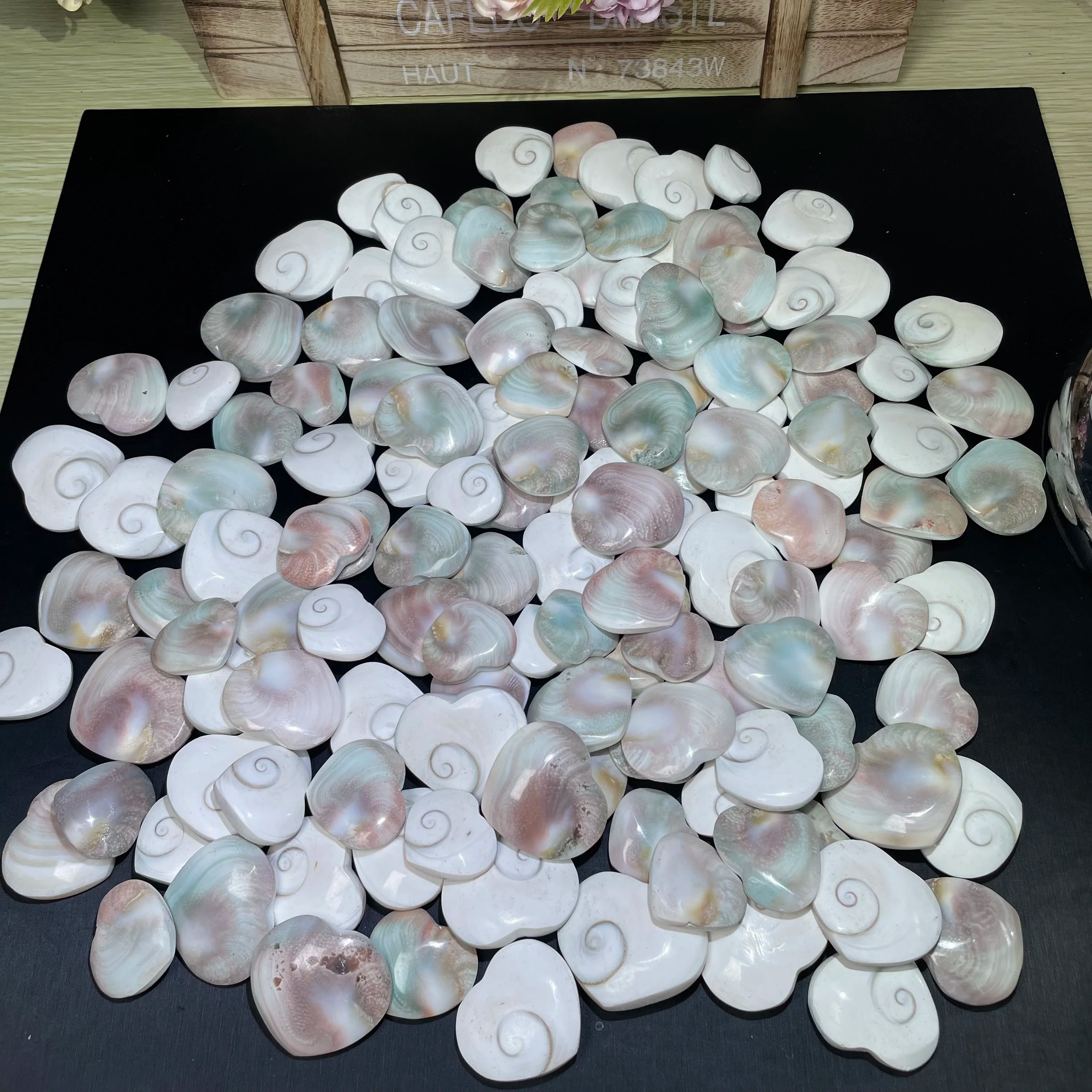 Wholesale Customized Sun Shell Heart Natural Crystal Shiva Eye Shell Hearts for Decoration