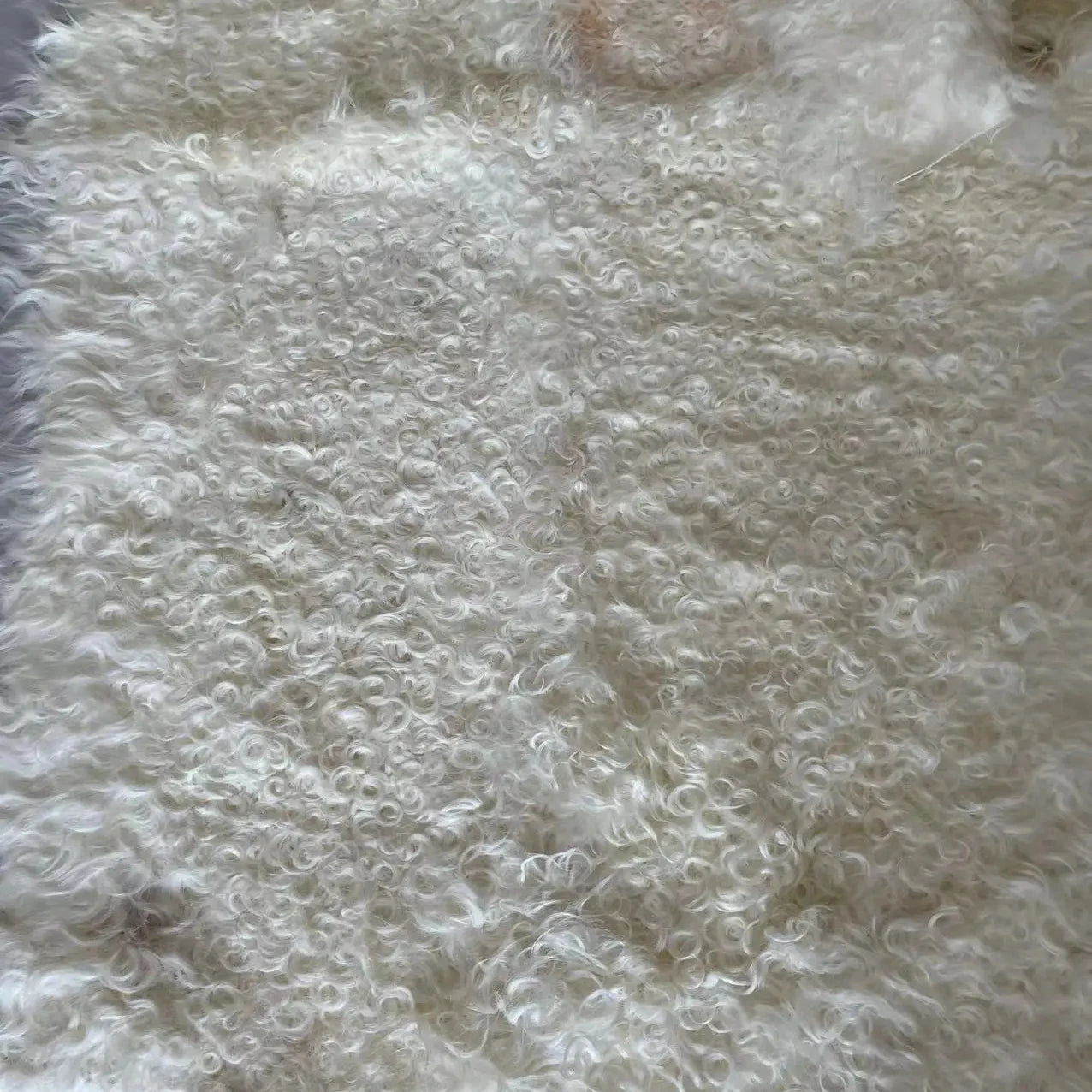 Factory Supply White Long Curly Hair Sheep Wool Lamb Fur Plate Kalgan Fur Plate
