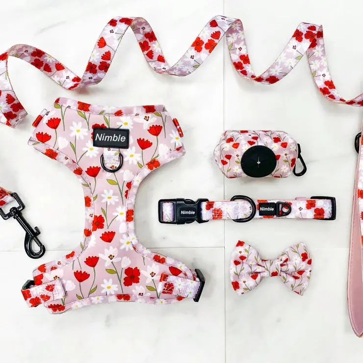 2023 Custom Logo Neoprene Dog Harness Set Adjustable Reversible Vest Bowknot Nylon Padded Walking Running Hiking for Small Pets