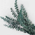 Hot Selling Home Decoration Preserved Eucalyptus Leaves Home Decoration Items Wedding Flowers Wedding Floral Arrangements