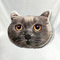 Printed Body Decorative Pillows Cases Custom Logo Cushion Cases 18x18 Pillows Anime Covers Plush Animal Cat Pillows