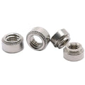 Wholesale Low Price Zinc Plated Stainless Steel Pressure Rivet Nut Machine in Fastener