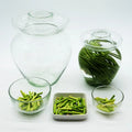 2.5L 5L 7.5L 10L 12.5L Glass Pickles Jar Fermentation Crock Pickling Pot with Water Seal Airlock Lid