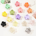 Cute 4cm Small Plastic Flower Matte Claw Hair Clips Colorful Gradient Jelly Clip Hairs for Women Girls