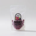 Sourcepack Zipper Clear Zip Lock Plastic Ziplock Custom Food Packaging Bags Resealable Stand up Zipper Pouch MegaBDM