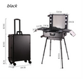 TE LED White Light Makeup Artist Train Case Professional 4-Wheels Carry-on Removable Rolling Makeup Case