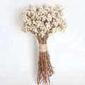 R-1109 Real Touch Nature Dried Flowers Hydrangea Mixed Flowers for Home Decor and Wedding Decoration