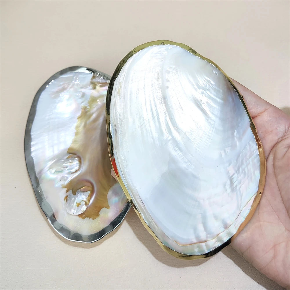 2024 Hot Selling MOP Jewelry Polished Gold and Silver Edge Mother of Pearl Shell Pieces Natural Oyster Shell for Decorations
