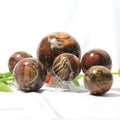 Natural Petrified Wood Sphere Hand Carved Fossil Wood Ball Sphere for Crystal Crafts