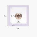 Jewelry Showing Retail Box 5*5cm for Making up the Balance of the Transparent Jewelry Display Box