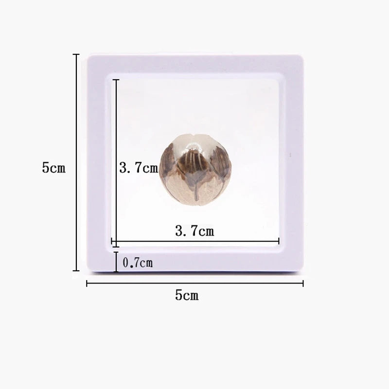 Jewelry Showing Retail Box 5*5cm for Making up the Balance of the Transparent Jewelry Display Box