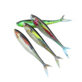 Selco 3D Eyes 8Pcs/Bag  Soft Bionic Bait All Water Fishing Soft Pvc Lure Saltwater Fishing Fork Tail Lure