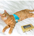 Animal Quantum with Multi-language Version Quantum Magnetic Body Health Analyzer for Dogs