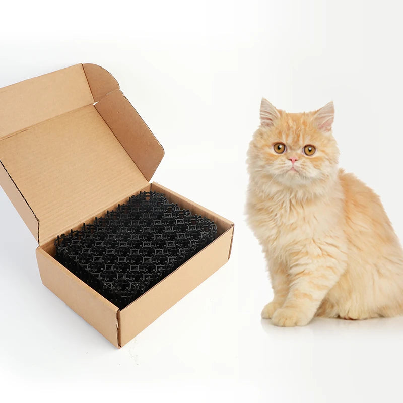 Factory Direct Sale Plastic Solid Eco-Friendly Anti-Cat Bird Spikes Dog Deterrent All-Season Spike Mat