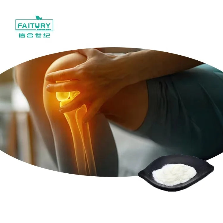 Wholesale Food Additives CAS 9007-28-7 90% Chondroitinsulfate Pure Chondroitin Sulfate Powder MegaBDM