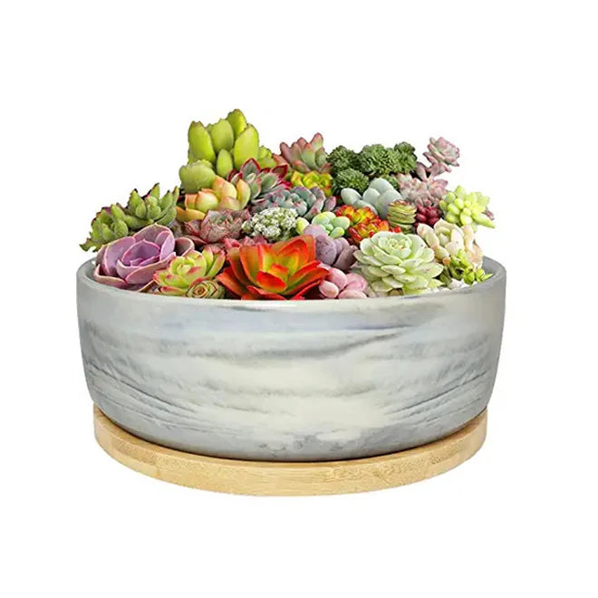 DS 6.3 Inches Ceramic Flower Succulent Planters Pot With Bamboo Tray Marble Pattern Round Planter Pot for Indoor Outdoor Plants