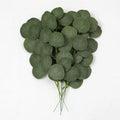 M259 New Arrival DIY Christmas Money Leaves Single Green Eucalyptus Leaf Artificial Eucalyptus Plant Leaves