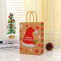 Custom Printed Luxury Gift Paper Shopping Bag with Ribbon Handle for Clothing Shoes Craft Fur Xmas Gifts Customizable with Logos