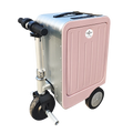 Alilotop SA3 Smart Carry-On Bike Suitcase Modern Style with Silent Wheels Durable Lightweight Featuring Aluminium Frame TSA Lock