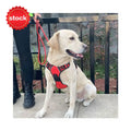 Customized Reflective Vest Soft Mesh Padding Collar Set for Dogs Pet and Leash Led Dog Harness