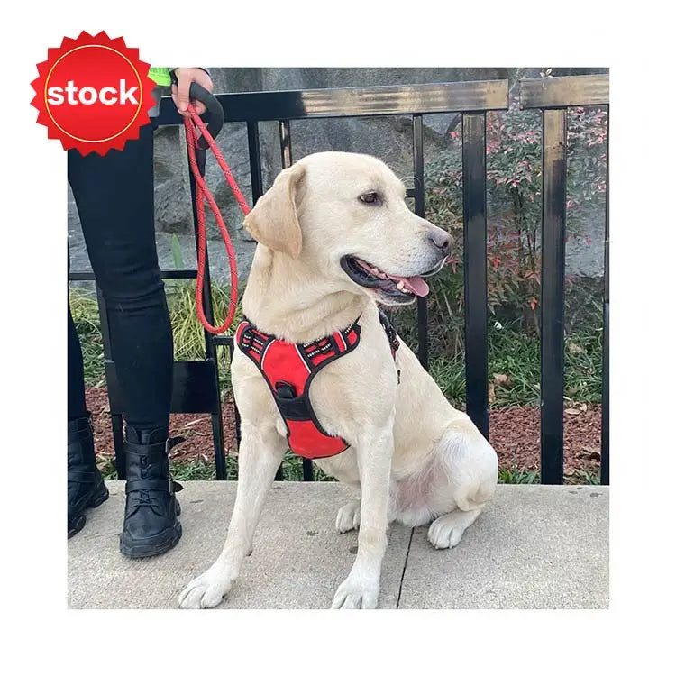 Customized Reflective Vest Soft Mesh Padding Collar Set for Dogs Pet and Leash Led Dog Harness