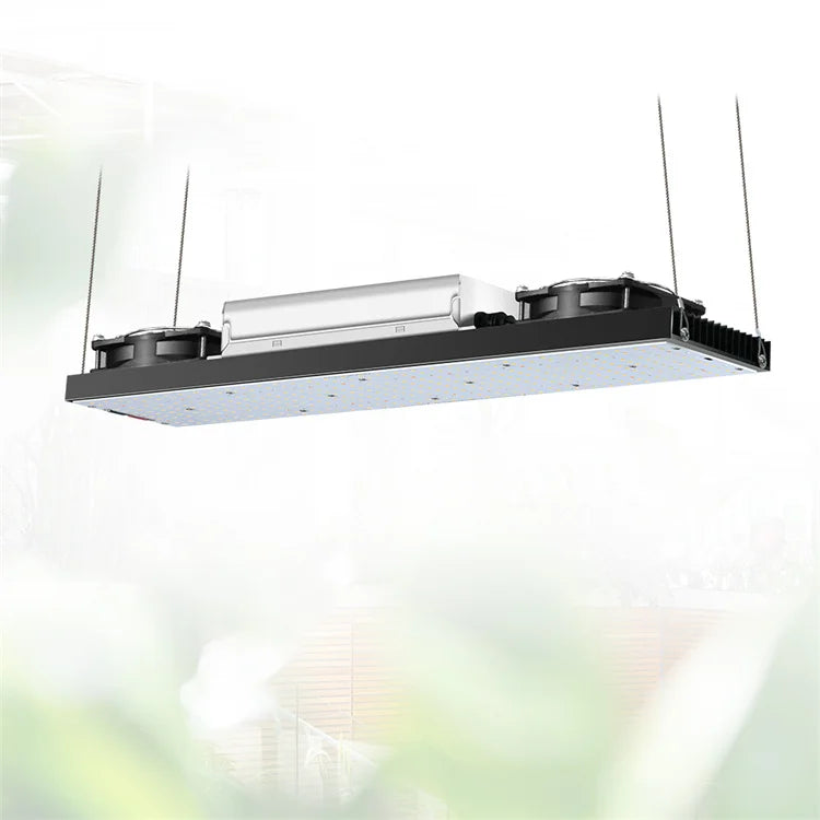 YXO SF1000 SF2000 SF4000 LED Grow Lights LED UV IR Switch LED Grow Lights Stock Available in ER BR PL BR Warehouse