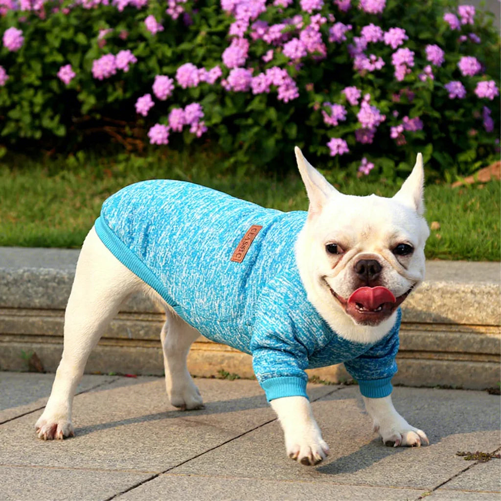 Hot Sale Multiple Colour Pet Clothes Economical Custom Design Dog Pet Cloth for Dog