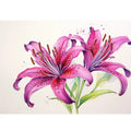 1PC DIY 40*50cm Flower Theme Wall Decor Diamond Painting Full Round Acrylic Modern Diamond Painting for Home Decoration