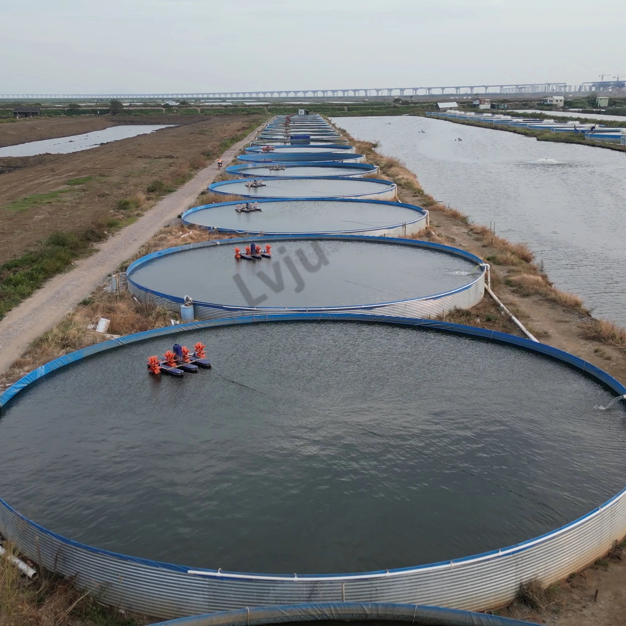 Guangzhou Supplier LVJU Biofloc Aquaculture Shrimp Fish Farming Tank for Aquaculture