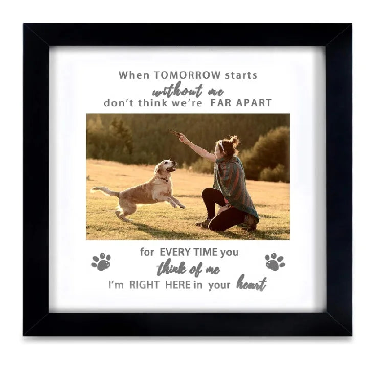 Best Seller Remembrance Frame for Dog or Cat with Sympathy Tribute Keepsake Pet Loss Gift Memorial Picture Frame
