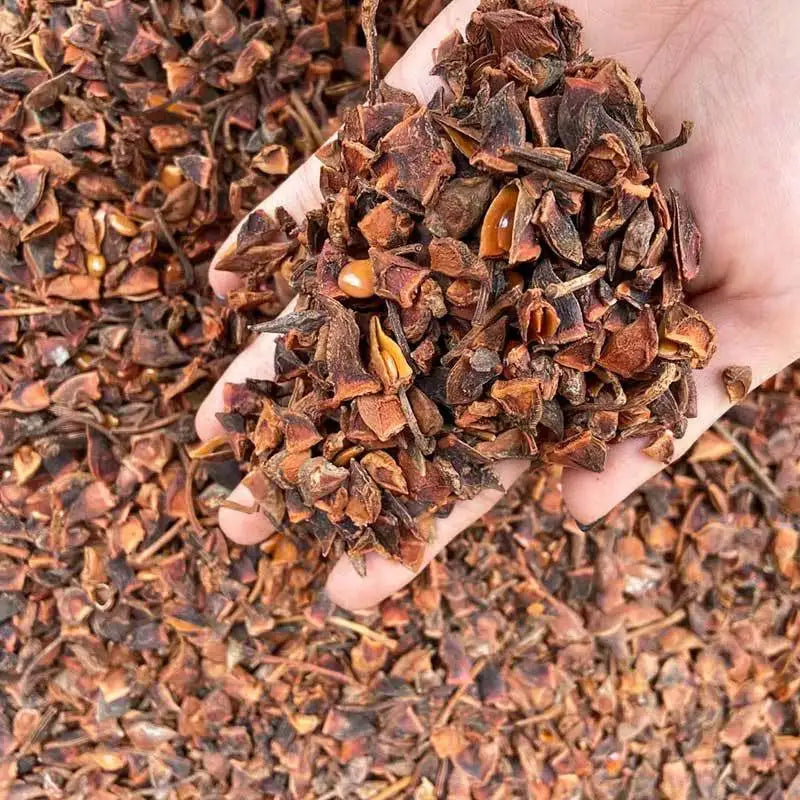 1kg Broken Star Anise Fruit Spice Crushed Star Anise for Sale