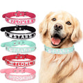 Qullity 2025 NEW Amazo Best Seller Bling DIY Charms Letters Bulk Supplies PU Pet Dog Collar