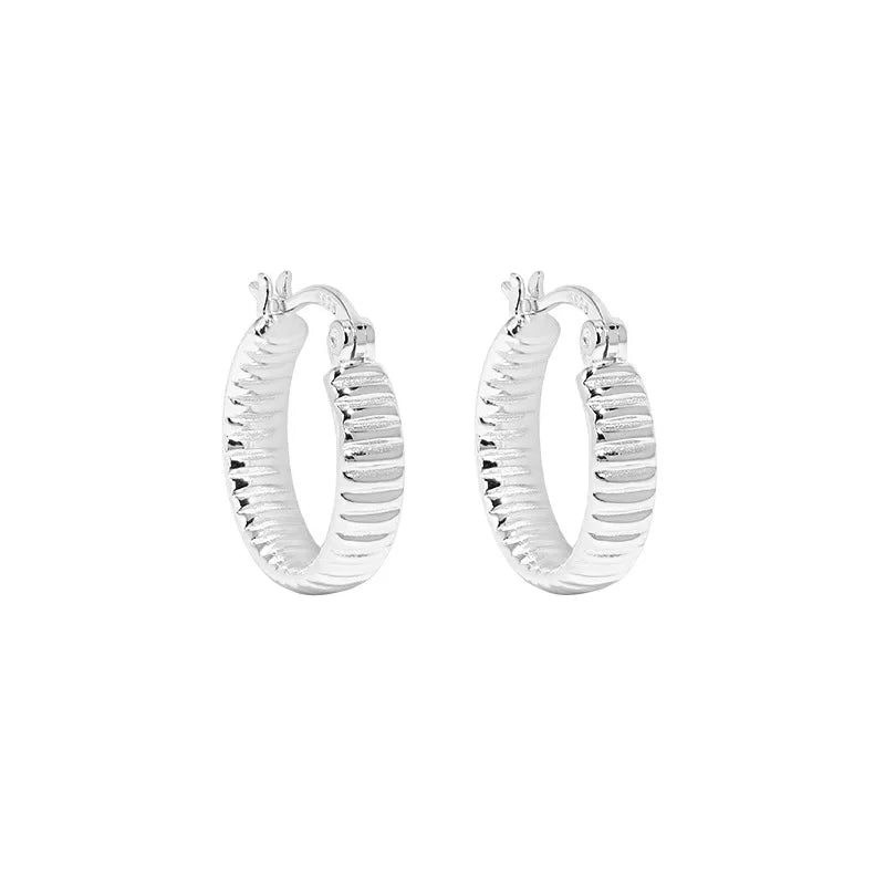 VIANRLA 925 Sterling Silver Jewelry Earrings 18k Gold Plated Trendy Hoop Earring for Women Free Laser Logo Wholesale